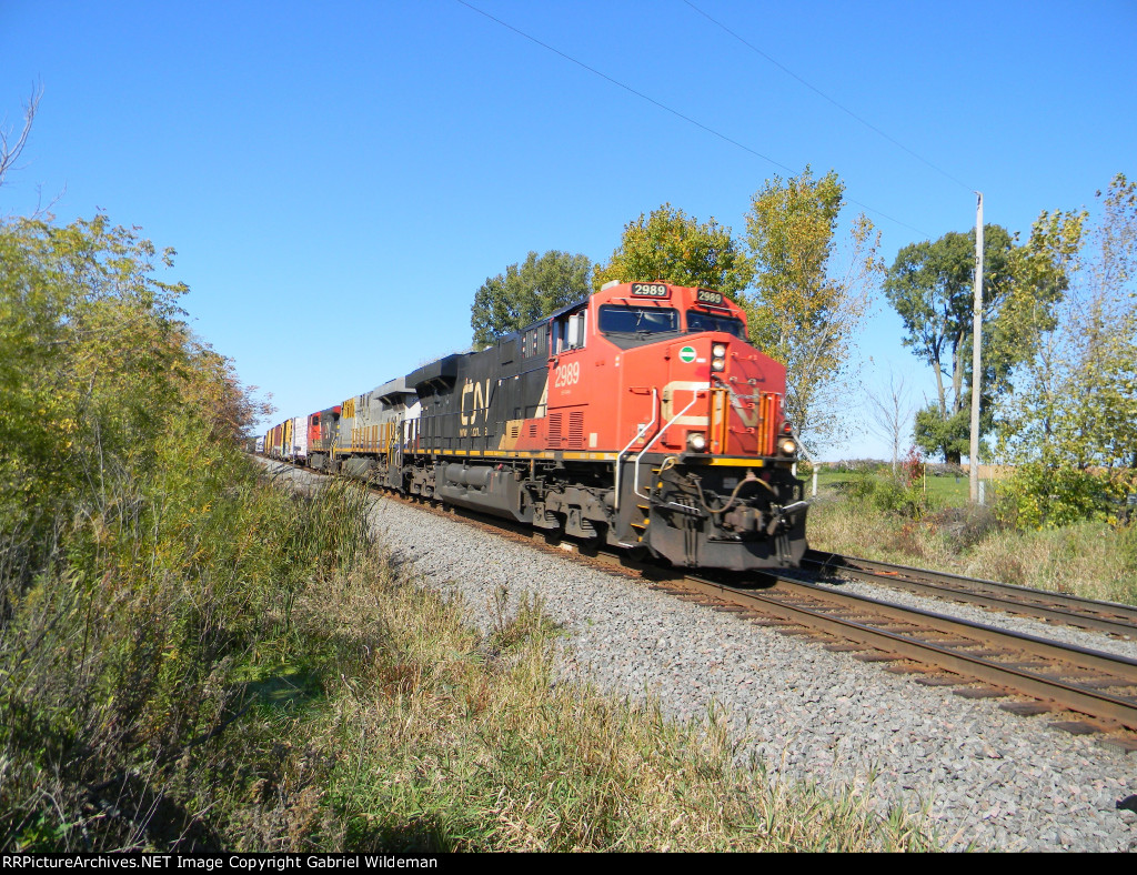 CN 2989 & CN 3954 